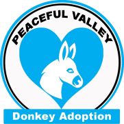 adoption logo 2026 copy adoption logo 2026 copy