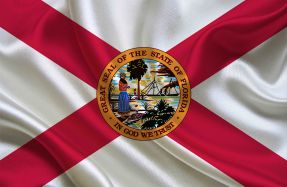 florida flag copy florida flag copy