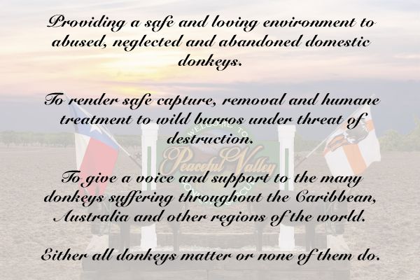 mission statement mission statement